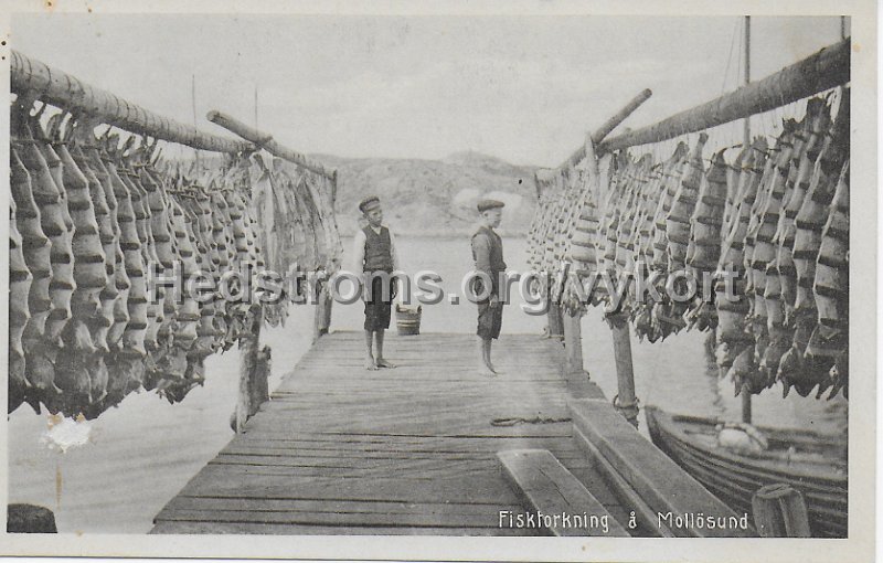 Fisktorkning a Mollosund. Odaterat. Forlag I. F. Hallmans Bokhandel.jpeg - Fisktorkning å Mollösund.Odaterat.Förlag I. F. Hallmans Bokhandel.