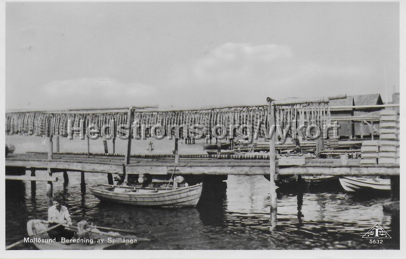 Mollosund. Beredning av Spillanga. Postganget 7 juli 1948, C.A. Traff 5632.jpeg - Mollösund. Beredning av Spillånga.Postgånget 7 juli 1948,C.A. Träff 5632.