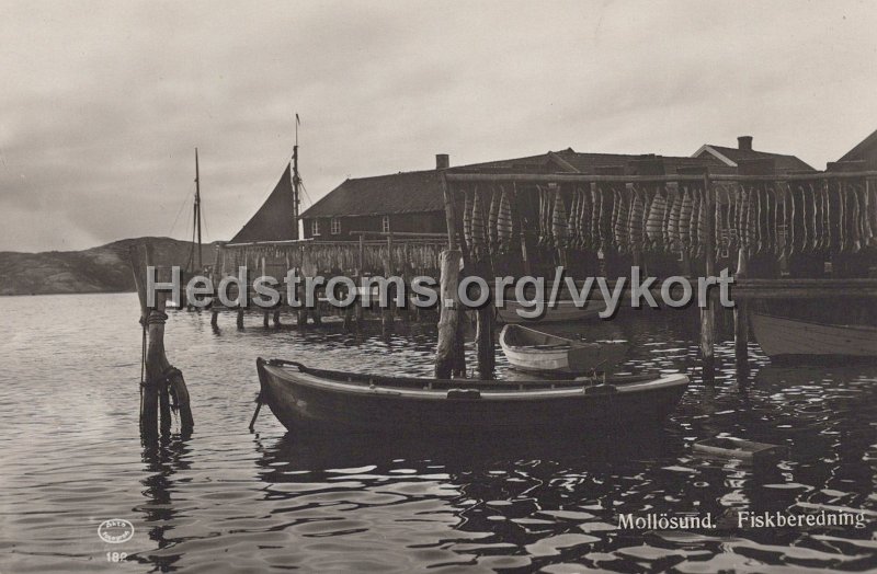 Mollosund. Fiskberedning. Odaterat. Forlag A. Larsson, Mollosund.jpg - Mollösund. Fiskberedning.Odaterat.Förlag: A. Larsson, Mollösund. 182.