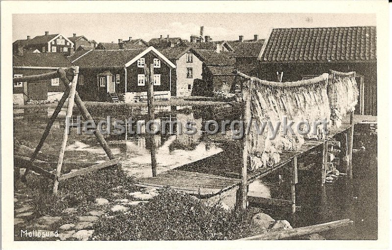 Mollosund. Odaterat. Forlag I.F Hallmans Bokhandel.jpg - Mollösund.Odaterat.Förlag: I.F Hallmans Bokhandel.