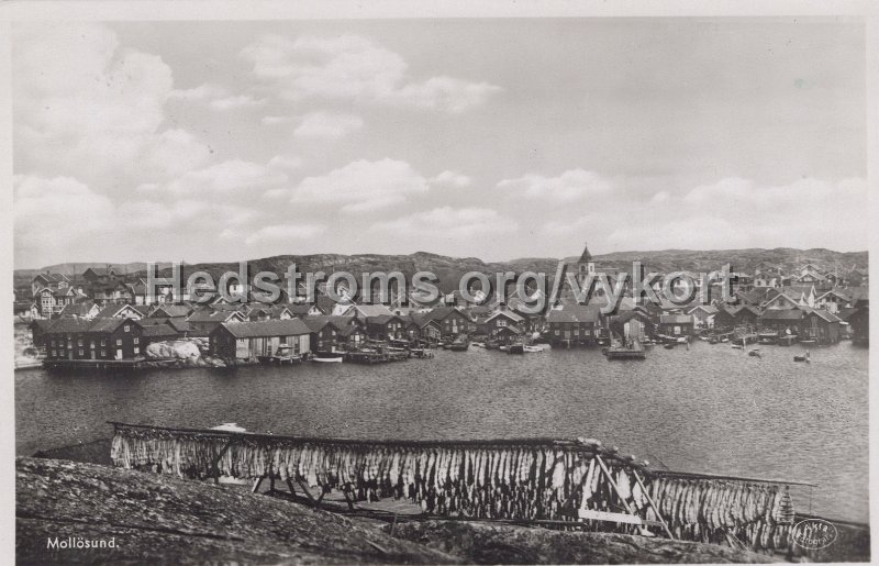 Mollosund. Postganget 14 juli  1946. Foto Boktryckare Erik Oldeborn, Ellos.jpg - Mollösund.Postgånget 14 juli 1946.Foto: Boktryckare Erik Oldeborn, Ellös.