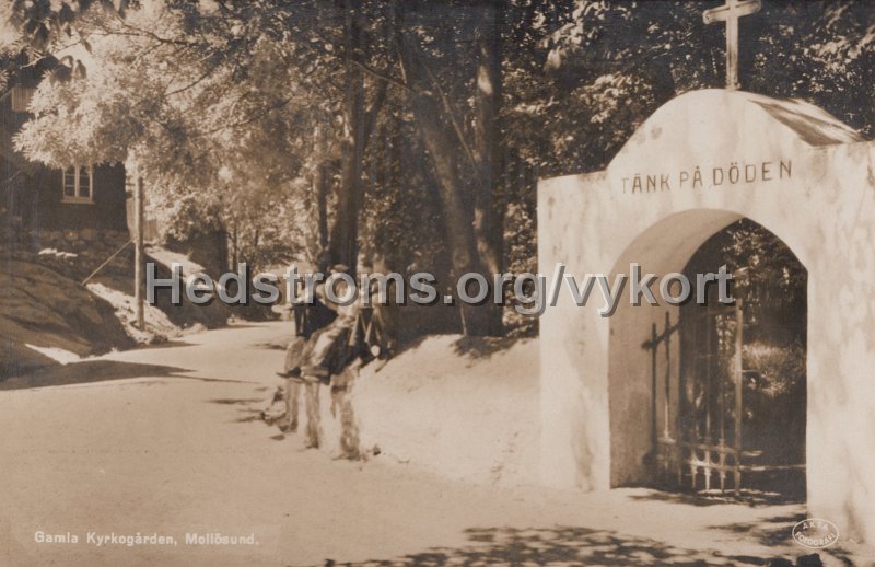 Gamla Kyrkogarden, Mollosund. Odaterat. Forlag A. Larsson, Mollosund.jpg - Gamla Kyrkogården, Mollösund.Odaterat.Förlag: A. Larsson, Mollösund.