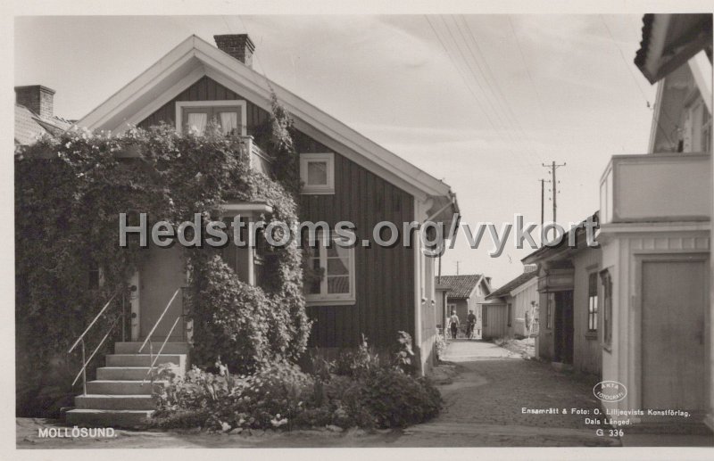 Mollosund. Odaterat. Ensamratt foto O. Lilljeqvists Konstforlag. Dal Langed. G 336.jpg - Mollösund.Odaterat.Ensamrätt & foto: O. Lilljeqvists Konstförlag. Dals Långed. G 336.
