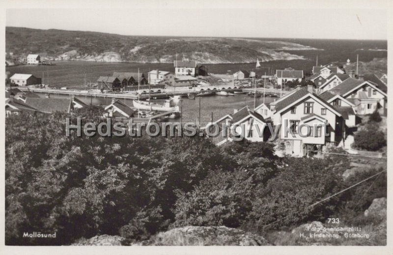 Mollosund. Odaterat. Foto ensamratt H Lindehag, Gotebprg. 733.jpg - Mollösund.Odaterat.Foto & ensamrätt: H Lindehag, Göteborg. 733.