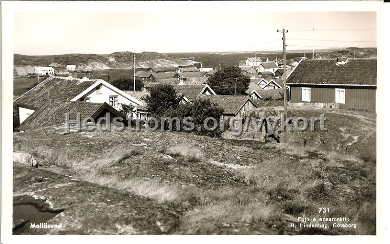 Mollosund. Odaterat. Foto ensamratt H. Lindenhag, Goteborg. 731.jpg - Mollösund.Odaterat.Foto & ensamrätt: H. Lindenhag, Göteborg. 731.