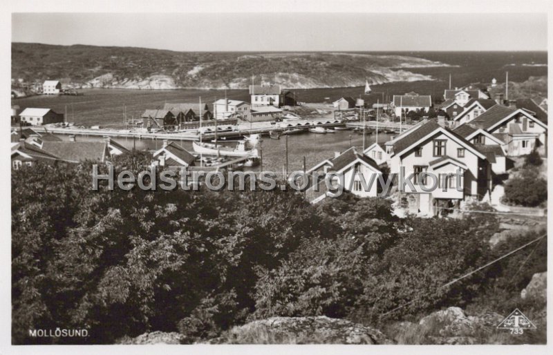 Mollosund. Odaterat. Traff 733.jpg - Mollösund.Odaterat.Träff 733.