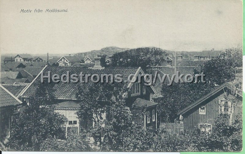 Motiv fran Mollosund. Odaterat. J. F. Hallmasn Bokhandel, Uddevalla.jpeg - Motiv från Mollösund.Odaterat.J. F. Hallmans Bokhandel, Uddevalla.