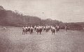 Volleyboll. Postganget 20 augusti 1912