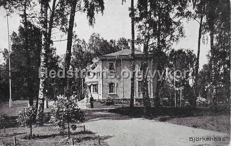 Bjorkenaas. Postganget 27 juli 1931.jpeg - Björkenääs.Postgånget 27 juli 1931.