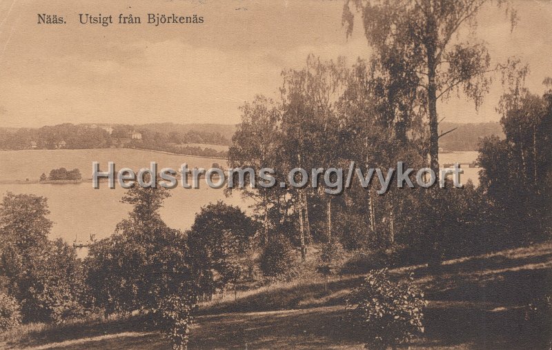 Naas. Utsigt fran Bjorkenaas. Postganget 18 januari 1915.jpg - Nääs. Utsigt från Björkenääs.Postgånget 18 januari 1915.