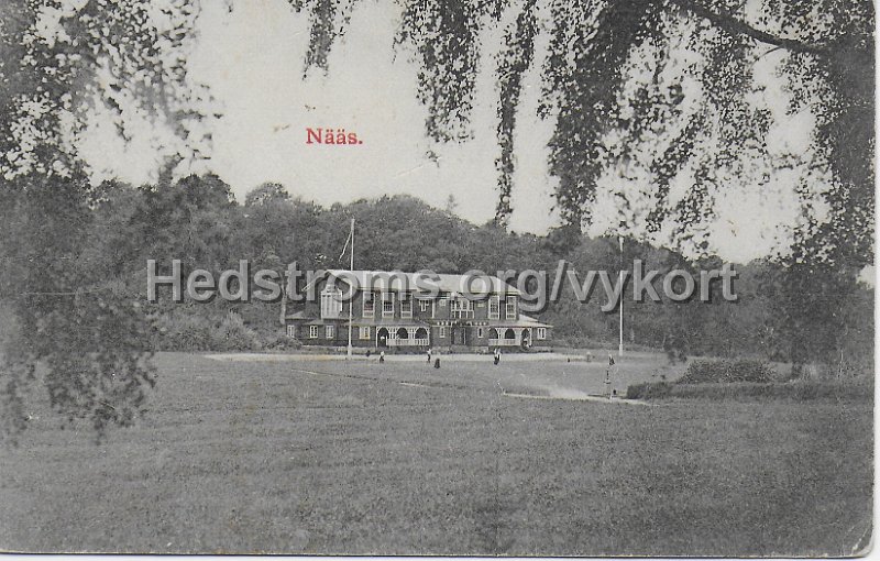 Naas. Postganget 13 april 1909. Le Moine  Malmestrom, Konstforlag. Goteborg.jpeg - Nääs.Postgånget 13 april 1909.Le Moine & Malmeström, Konstförlag. Göteborg.