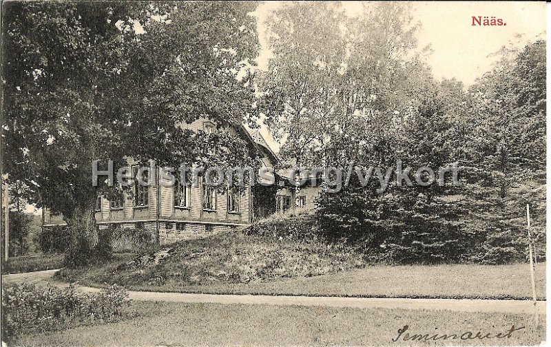 Naas.Postganget 21 juli 1905. Le Moine Malmestrom Konstforlag, Goteborg.jpg - Nääs.Postgånget 21 juli 1905.Le Moine & Malmeström Konstförlag, Göteborg.