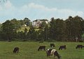 Naas Slott. Odaterat. Copyright Lindenhag, Goteborg. Foto Alf Bokgren. 91 2