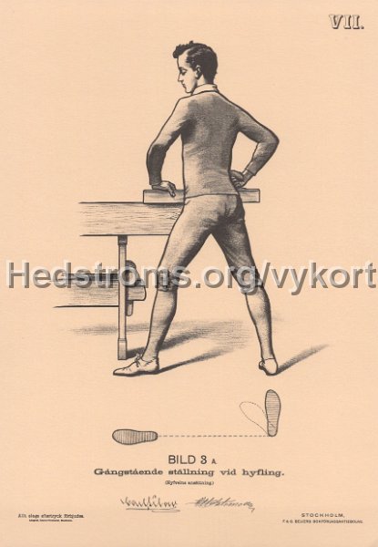 Bild 3a ur Kroppstallningar vid svensk pedagogisk snickerislojd. Naas Slojdlararseminarium, Floda 1894. Christenssons Grafiska i Lerum AB, 1990.jpg - Bild 3a ur Kroppställningar vid svensk pedagogisk snickerislöjd.Nääs Slöjdlärarseminarium, Floda 1894.Christenssons Grafiska i Lerum AB, 1990.A5-format.