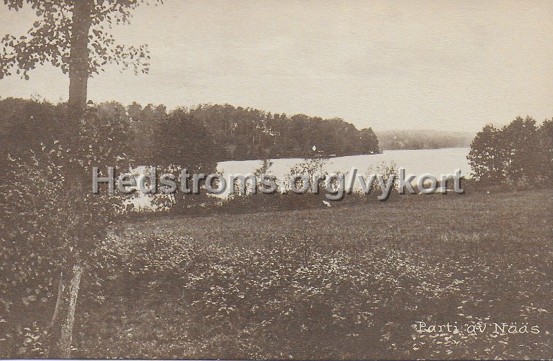 Parti av Naas. Postganget 20 juli 1922. Calegi Vykortslager.jpeg - Parti av Nääs.Postgånget 20 juli 1922.Calegi Vykortslager.