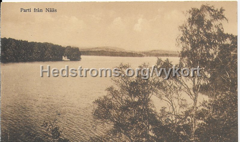 Parti fran Naas. Odaterat. Axel Johnson, Floda.jpeg - Parti från Nääs.Odaterat.Axel Johnson, Floda.