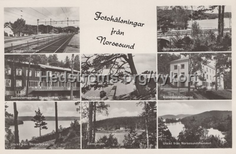 Fotohalsningar fran Norsesund.Odaterat. Forlag H. Lindenhag, Goteborg. 8001.jpg - Fotohälsningar från Norsesund.Odaterat.Förlag: H. Lindenhag, Göteborg. 8001.