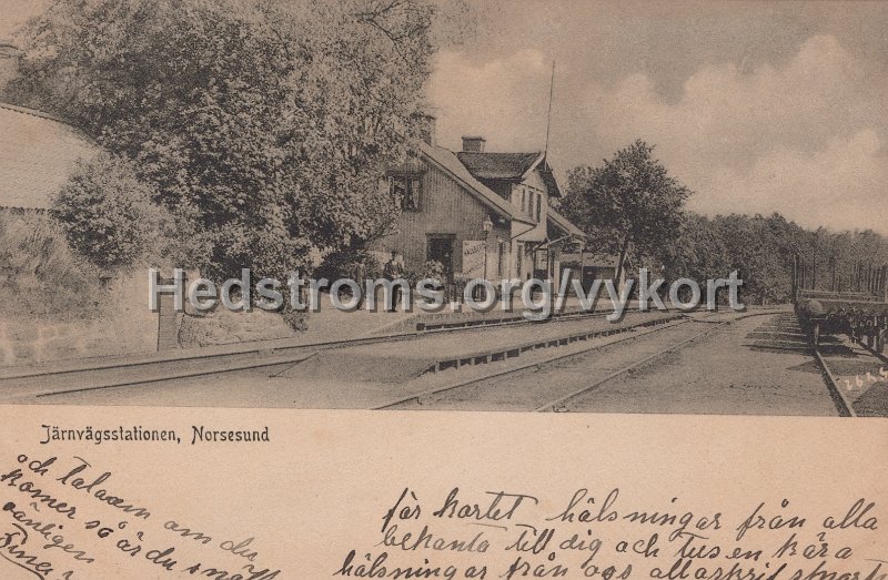 Jarnvagsstationen, Norsesund Postganget 21 januari 1906.jpg - Järnvägsstationen, Norsesund.Postgånget 21 januari 1906.