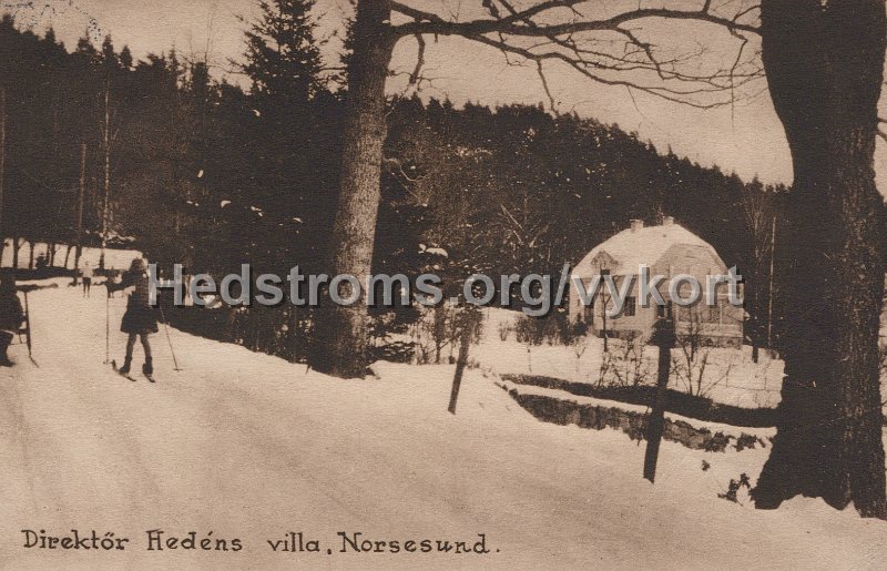 Direktor Hedens villa, Norsesund. Postganget 1 augusti 1930.jpg - Direktör Hedéns villa, Norsesund.Postgånget 1 augusti 1930.