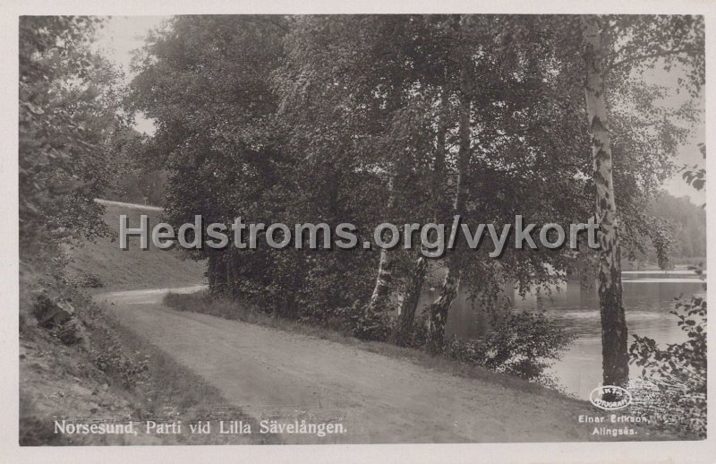 Norsesund, Parti vid Lilla Savelangen. Odaterat. Einar Erikson, Alingsas.jpg - Norsesund, Parti vid Lilla Sävelången.Odaterat.Einar Erikson, Alingsås.