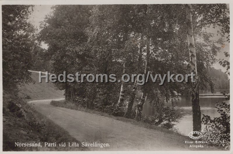 Norsesund, Parti vid Lilla Savelangen. Postganget 21 juni 1948. Einar Erikson, Alingsas.jpg - Norsesund, Parti vid Lilla Sävelången.Postgånget 21 juni 1948.Einar Erikson, Alingsås.