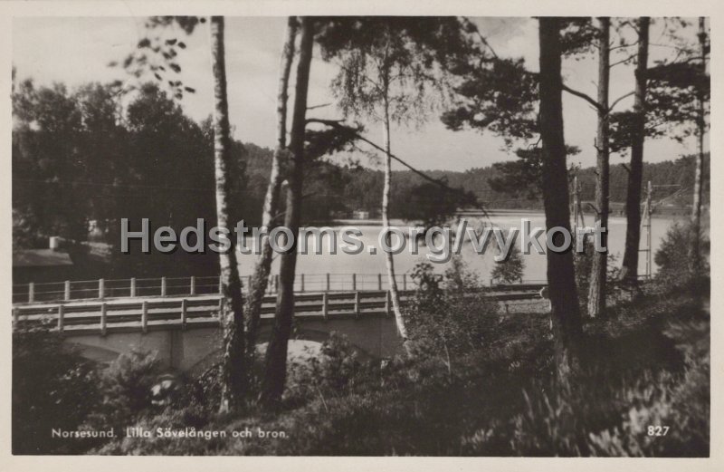 Norsesund. Lilla Savelangen och bron. Postganget 29 juni 1951. Forlag  ensamratt H. Lindenhag, Goteborg. 827.jpg - Norsesund. Lilla Sävelången och bron.Postgånget 29 juni 1951.Förlag & ensamrätt: H. Lindenhag, Göteborg. 827.