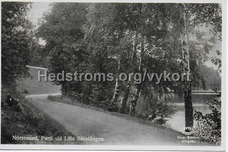 Norsesund. Parti vid Lilla Savelangen. Postganget 7 juli 1949. Einar Erikson, Alingsas.jpeg - Norsesund, Parti vid Lilla Sävelången.Postgånget 7 juli 1949.Einar Erikson, Alingsås.