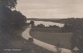 Savelangen. Alingsasvagen. Odaterat. Forlag Alrik Hedlund, Goteborg. Traff 674