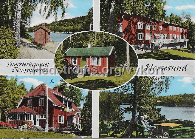 Semesterhemmet Skogslyckan, Norsesund. Postganget 28 juli 1967. Forlag ensamratt H. Lindnehag, Goteborg - n r S 198. Foto Traff.jpeg - Semesterhemmet Skogslyckan, Norsesund.Postgånget 28 juli 1967.Förlag & ensamrätt: H. Lindenhag, Göteborg - n r S 198.Foto: Träff.