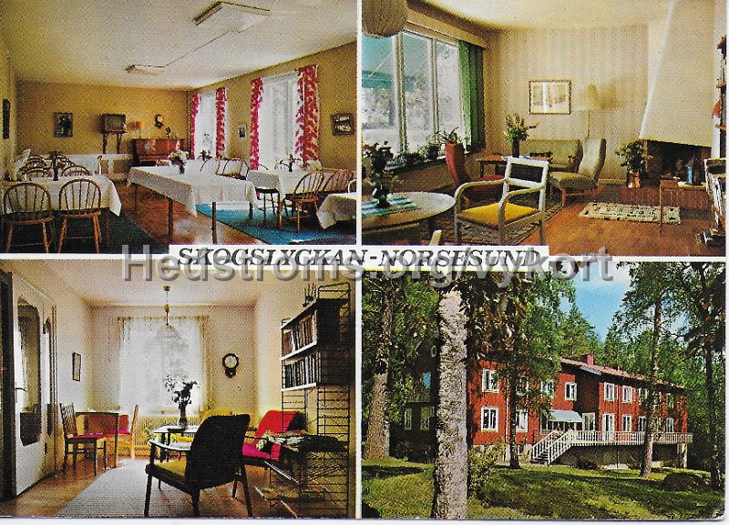 Skogslyckan - Norsesund. Odaterat. Copyright H. Lindenhag, Goteborg. Tel. 031 11 58 995. 9697.jpeg - Skogslyckan - Norsesund.Odaterat.Copyright: H. Lindenhag, Göteborg. Tel. 031 11 58 995. 9697.