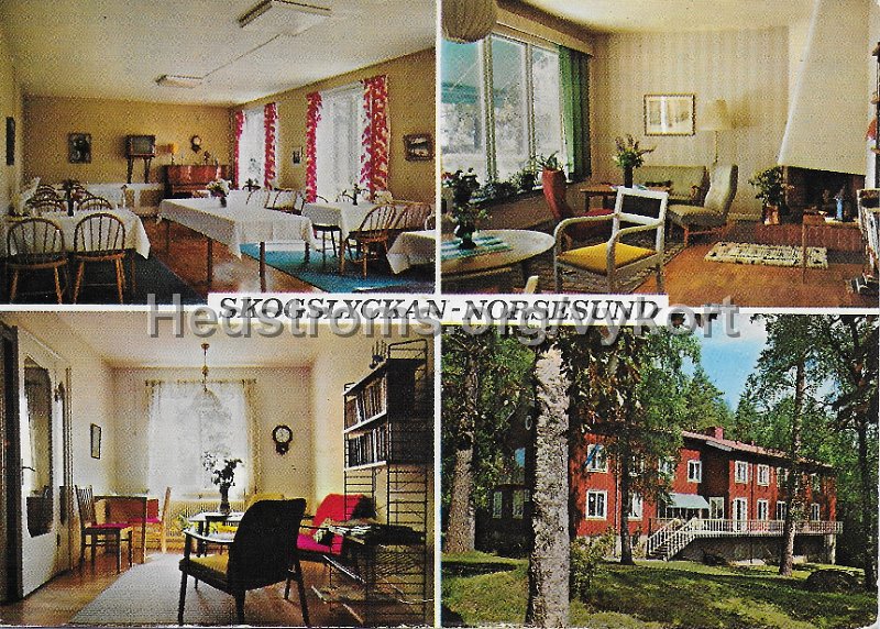 Skogslyckan - Norsesund. Postganget 23 oktober 1972. Copyright H. Lindenhag, Goteborg. Tel. 031 11 58 995. 9697.jpeg - Skogslyckan - Norsesund.Postgånget 23 oktober 1972.Copyright: H. Lindenhag, Göteborg. Tel. 031 11 58 995. 9697.