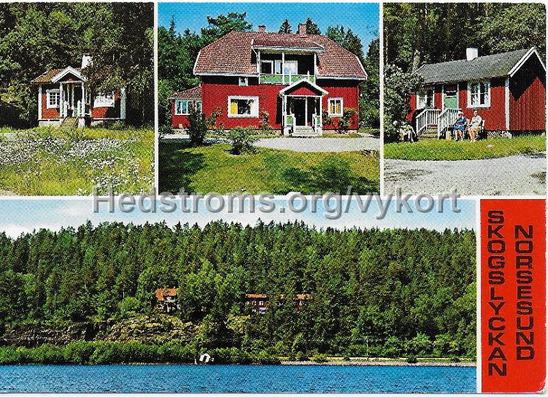 Skogslyckan, Norsesund. Odaterat. Copyright AB H. Lindenhag. Goteborg. Tel. 031 11 58 95. 9696.jpeg - Skogslyckan, Norsesund.Odaterat.Copyright: AB H. Lindenhag. Göteborg. Tel. 031 11 58 95. 9696.