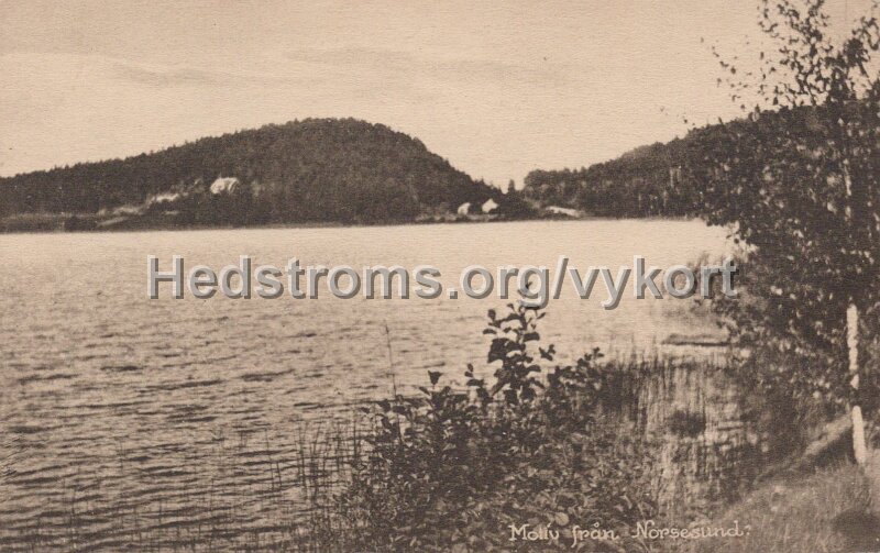 Motiv fran Norsesund. Daterat 1923. Forlag J. A. Hansson, Norsesund.jpg - Motiv från Norsesund.Daterat 1923.Förlag: J. A. Hansson, Norsesund.