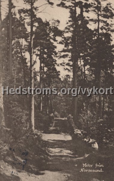 Motiv fran Norsesund. Postganget 16 augusti 1928. Forlag J, A, Hansson, Norsesund.jpg - Motiv från Norsesund.Postgånget 16 augusti 1928.Förlag: J, A, Hansson, Norsesund.