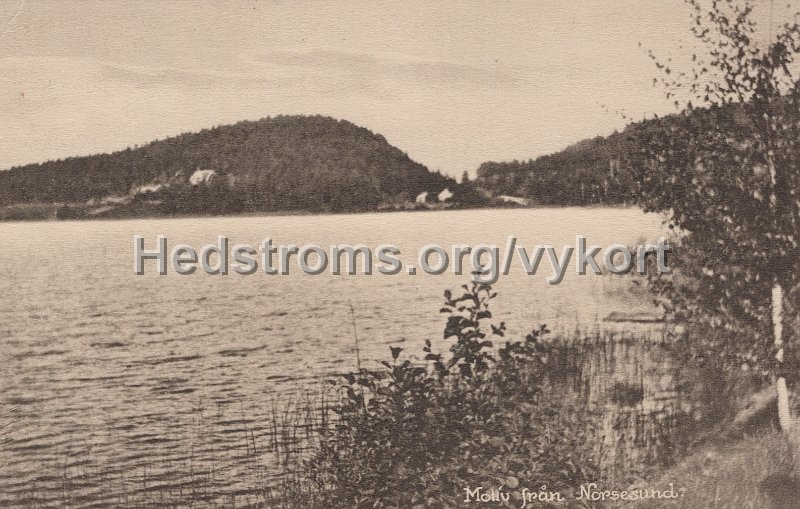 Motiv fran Norsesund. Postganget 4 juli 1923.Forlag J. A. Hansson, Norsesund.jpg - Motiv från Norsesund.Postgånget 4 juli 1923.Förlag: J. A. Hansson, Norsesund.