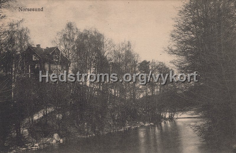 Norsesund. Postganget 28 januari 1920. Karin Moller Fotografiatelier, Alingsas.jpg - Norsesund.Postgånget 28 januari 1920.Karin Möller Fotografiatelier, Alingsås.