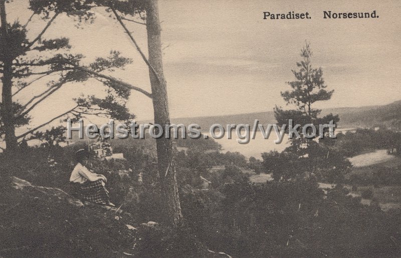 Paradiset. Norsesund. Postganget 8 augusti 1910. Forlag Bjorklund  Andersson, Norsesund.jpg - Paradiset. Norsesund.Postgånget 8 augusti 1910.Förlag: Björklund & Andersson, Norsesund.