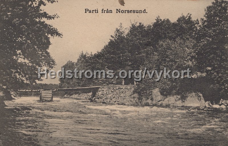 Parti fran Norsesund. Postganget 2x juli 1917. Forlag Bjorklund  Andersson, Norsesund.jpg - Parti från Norsesund.Postgånget 2x juli 1917.Förlag: Björklund & Andersson, Norsesund.