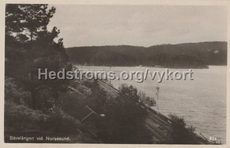 Savelangen vid Norsesund. Odaterat. Ensamratt H. Lindenhag, Goteborg. 824.jpg - Sävelången vid Norsesund.Odaterat.Ensamrätt: H. Lindenhag, Göteborg. 824.