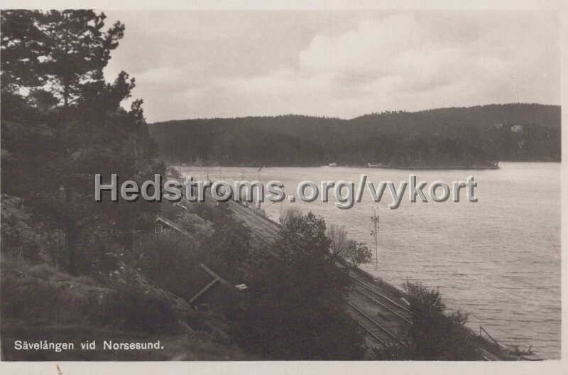 Savelangen vid Norsesund. Postganget. Forlag Einar Erikson, Alingsas.jpg - Sävelången vid Norsesund.Postgånget.Förlag; Einar Erikson, Alingsås.