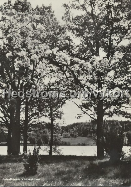 Savelangen, Vastergotland. Ekudden i bakgrunden. Postganget 3 maj 1959.jpeg - Sävelången, Västergötland.Ekudden i bakgrunden.Postgånget 3 maj 1959.