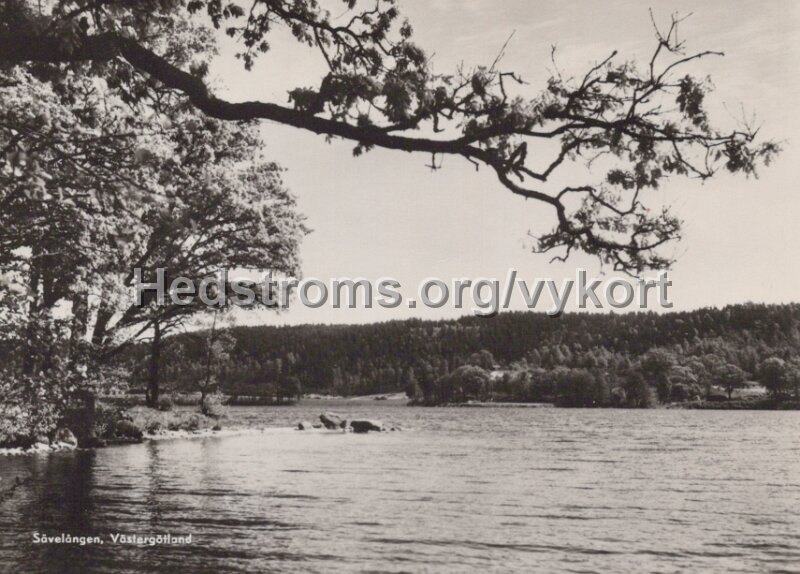 Savelangen, Vastergotland. Postganget 5 augusti 1959.Forlag Sveriges Flickors Scoutforbund.jpg - Sävelången, Västergötland.Postgånget 5 augusti 1959.Förlag: Sveriges Flickors Scoutförbund.