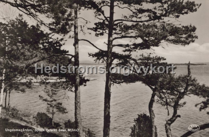 Ungdomsgarden, Sjovik (utsikt over Mjorn). Postganget 28 juni 1943.jpg - Ungdomsgården, Sjövik (utsikt över Mjörn).Postgånget 28 juni 1943.