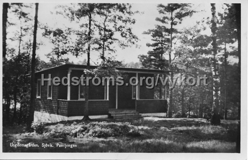 Ungdomsgarden. Sjovik. Paviljongen. Daterat30 juni 1948.jpeg - Ungdomsgården. Sjövik. Paviljongen.Daterat 30 juni 1948.