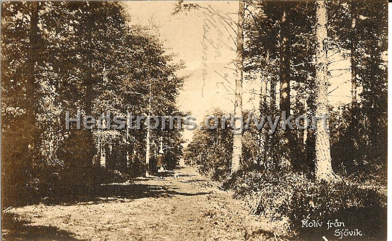 Motiv fran Sjovik. Postganget 21 januari 1925. Foto Kaleb Torin, Alingsas.jpeg - Motiv från Sjövik.Postgånget 21 januari 1925.Foto: Kaleb Torin, Alingsås.