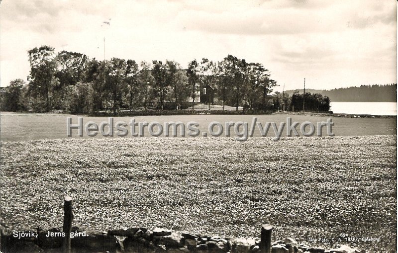 Sjovik, Jerns gard. Postganget 6 november 1941. Akta Foto. C.A. Traff, Goteborg. 624. Broderna Eriksson, Sjovik..jpg - Sjövik, Jerns gård.Postgånget 6 november 1941.Äkta Foto. C.A. Träff, Göteborg. 624.Bröderna Eriksson, Sjövik.