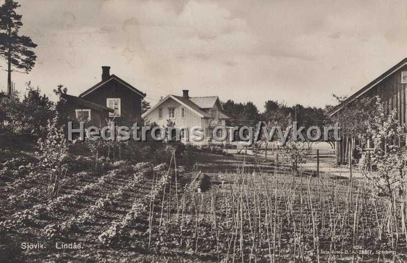 Sjovik. Lindas. Postganget 19 juni 1932. Broderna Erikson, Sjovik. Aakta Foto. C.A. Traff, Goteborg. 628.jpg - Sjövik. Lindås.Postgånget 19 juni 1932.Bröderna Erikson, Sjövik.Äkta Foto. C.A. Träff, Göteborg. 628.