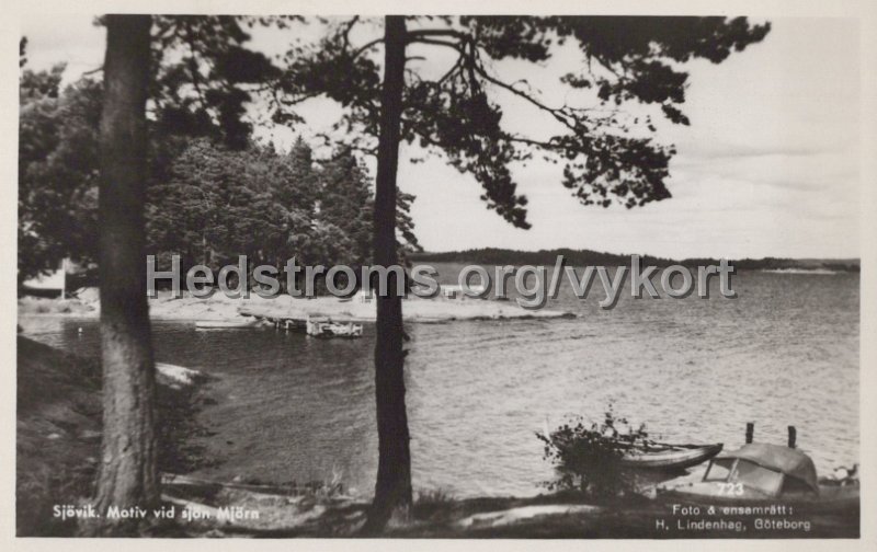 Sjovik. Motiv vid sjon Mjorn. Daterat 18 maj 1952. Foto ensamratt H. Lindenhag, Goteborg. 723.jpg - Sjövik. Motiv vid sjön Mjörn.Daterat 18 maj 1952.Foto & ensamrätt: H. Lindenhag, Göteborg. 723.