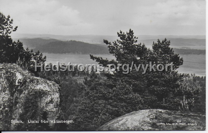 Sjovik. Utsikt fran Valasberget. Odaterat. Broderna Erikson, Sjovik.Akta Foto C.A. Traff, Goteborg 627.jpeg - Sjövik. Utsikt från Vålåsberget.Odaterat.Bröderna Erikson, Sjövik.Äkta Foto. C.A. Träff, Göteborg 627.