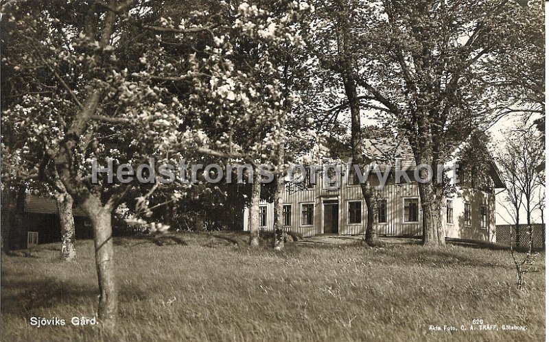 Sjoviks Gard. Odaterat. Broderna Eriksson, Sjovik. Akta Foto. C.A. Traff, Goteborg. 620.jpg - Sjöviks Gård.Odaterat.Bröderna Eriksson, Sjövik.Äkta Foto. C.A. Träff, Göteborg. 620.